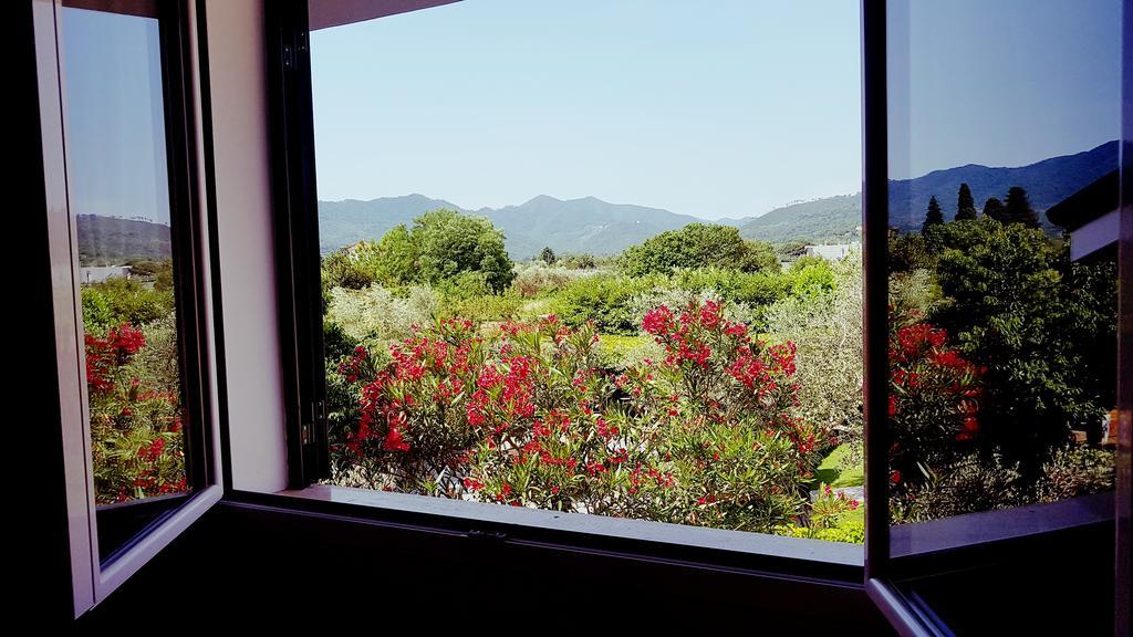 וילה נובה ד'אלבנה Salvia E Rosmarino - Affittacamere In Liguria מראה חיצוני תמונה